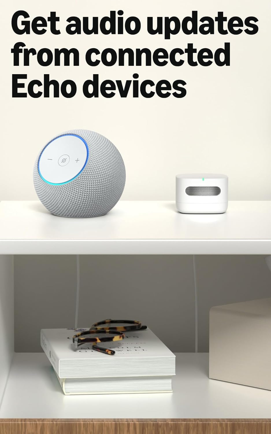 Smart Air Quality Monitor – Know Your Air, Works with Alexa