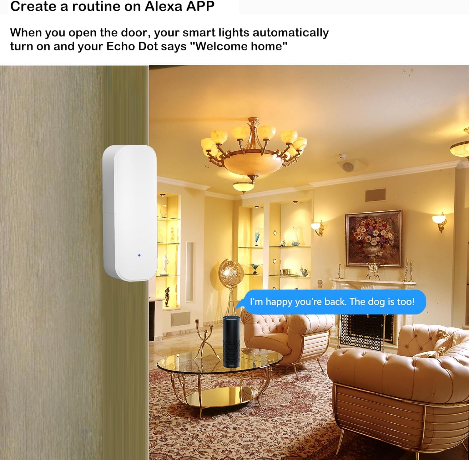 Wifi Door Sensor, Smart Door Window Sensor with Instant App Alerts, No Hub Required, Door Open/Close Contact Sensor Compatible with Alexa Google Home, Smart Life Home Security Automation